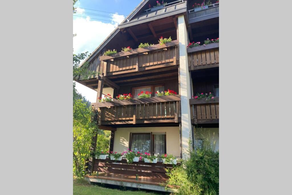 Gemuetliche Ferienwohnung In Sankt Blasien المظهر الخارجي الصورة