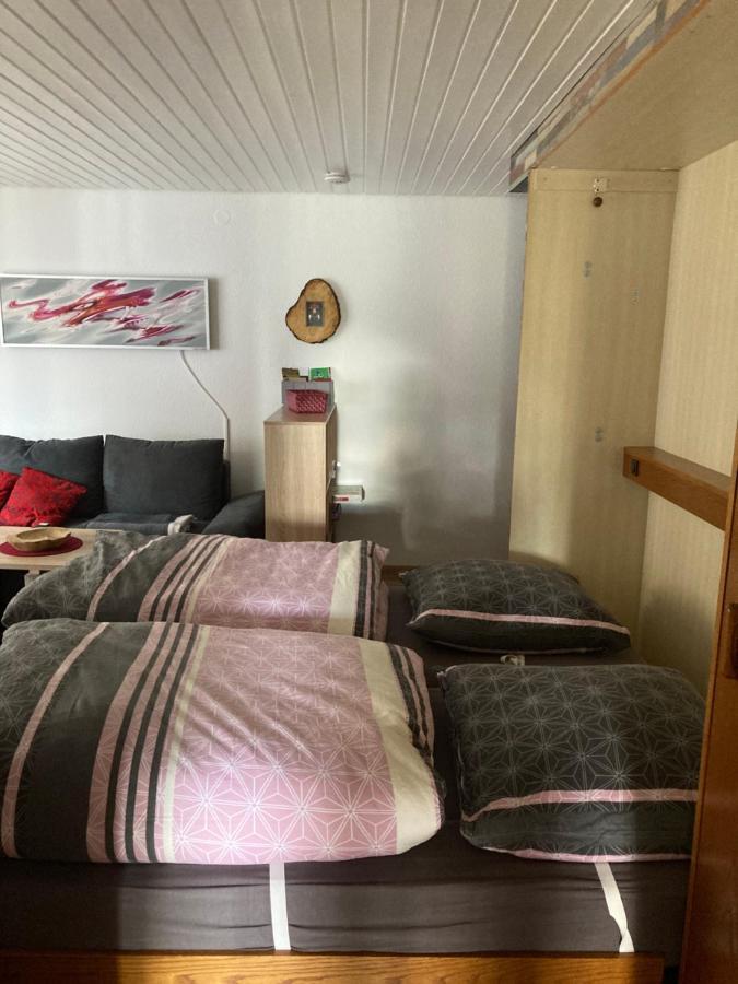 Gemuetliche Ferienwohnung In Sankt Blasien المظهر الخارجي الصورة