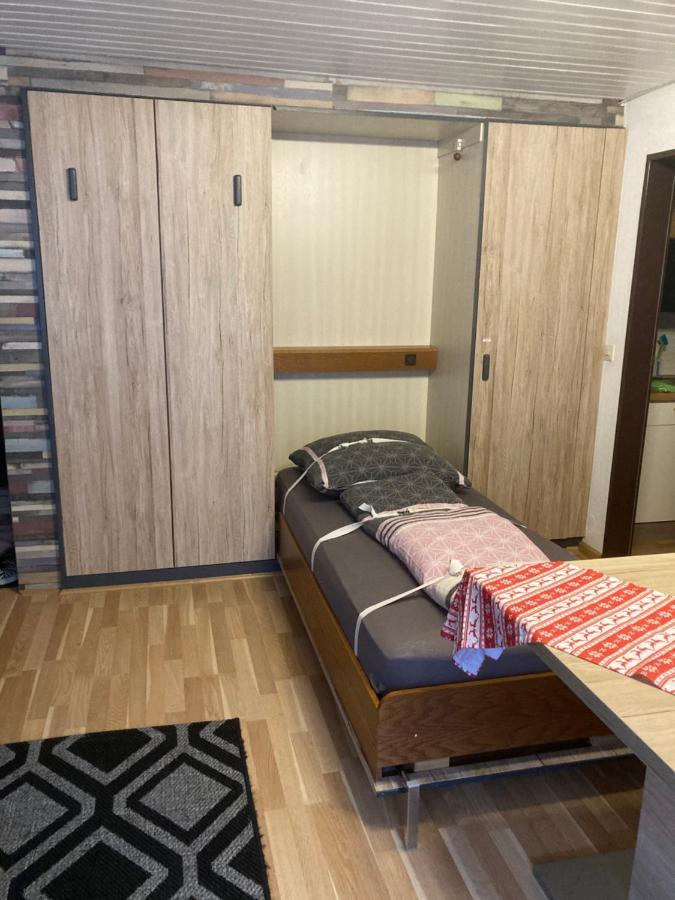 Gemuetliche Ferienwohnung In Sankt Blasien المظهر الخارجي الصورة