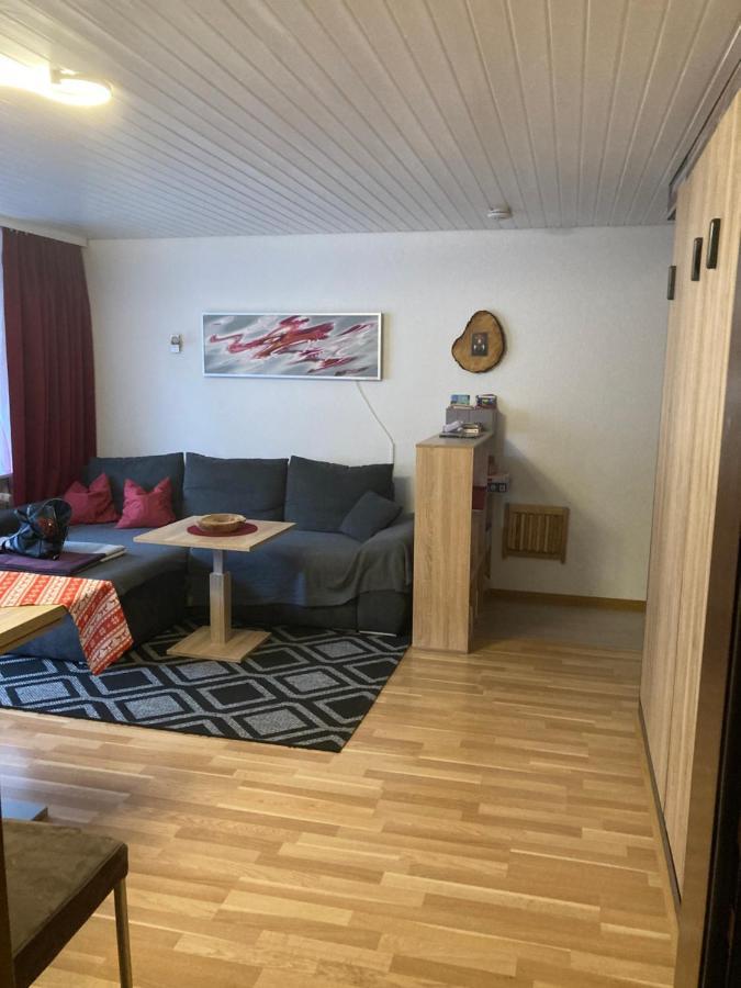Gemuetliche Ferienwohnung In Sankt Blasien المظهر الخارجي الصورة