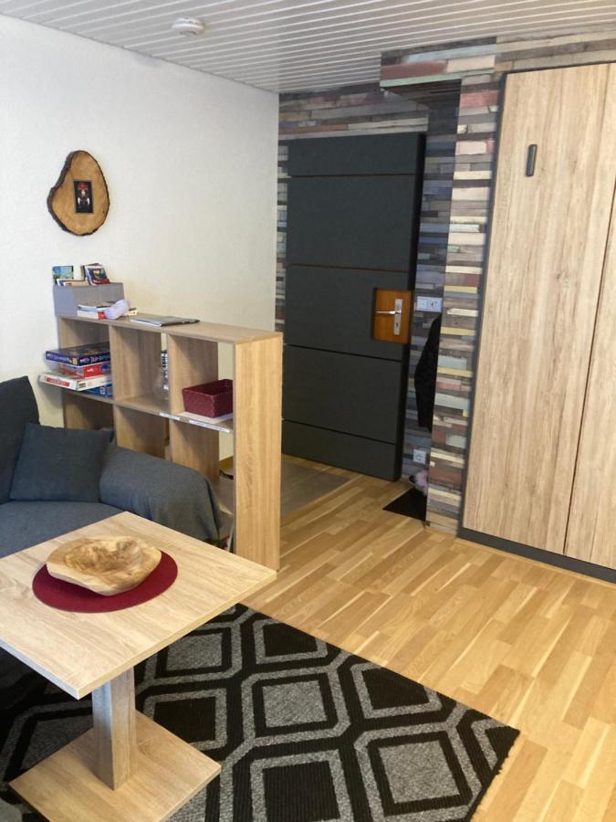 Gemuetliche Ferienwohnung In Sankt Blasien المظهر الخارجي الصورة